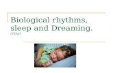 Biological rhythms, sleep and Dreaming.  (PYA4)