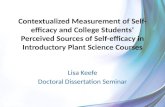 Lisa Keefe Doctoral  Dissertation Seminar