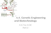 4.4. Genetic Engineering and Biotechnology