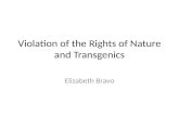 Violation of the Rights of Nature and  Transgenics