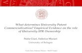 What determines University Patent Commercialization? Empirical Evidence on the role of University IPR Ownership