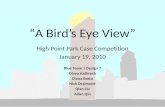 “A Bird’s Eye View”