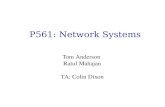 P561: Network Systems