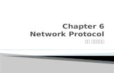 Chapter 6 Network Protocol