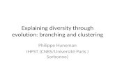 Explaining diversity through evolution :  branching  and  clustering