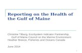 Reporting on the Health of the Gulf of Maine