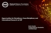 Opportunities for Disciplinary, Cross-Disciplinary and International Research at NSF
