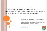 Large-Eddy simulation of Pollutant Plume Dispersion over 2D Idealized Street Canyons