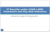 IT Security under COSO's ERM Framework and Key Risk  Indicators