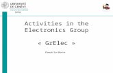 Activities  in the Electronics  Group « GrElec »