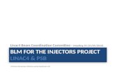 BLM for the Injectors project  LINAC4 & PSB