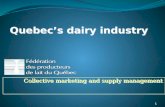 Quebec’s dairy industry