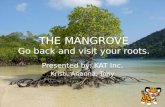 THE MANGROVE Go back and visit your roots.