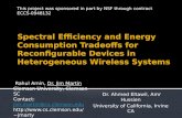 Spectral Efficiency and Energy Consumption Tradeoffs for Reconfigurable Devices in Heterogeneous Wireless Systems