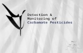 Detection & Monitoring of  Carbamate  Pesticides