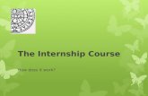 The Internship Course
