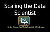 Scaling the Data Scientist