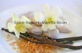 Spice Report: Vanilla Bean