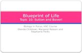 Blueprint of Life Topic  10: Sutton and  Boveri