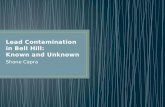 Lead Contamination in Bell Hill: Known and Unknown