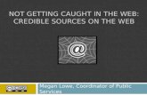 Not getting caught in the web: Credible sources on the web