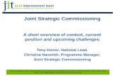 Joint Strategic Commissioning