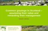 Common grazings in Scotland – assessing their value and rewarding their management