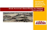 Campaign Against Animal Sacrifice in Nepal