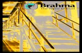 Brahma catalogue 2013 promotions