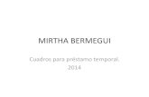 Mirtha Bermegui Artista Visual Buenos Aires