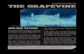 The Grapevine March/April