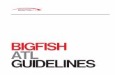 Bigfish Branding Guidelines