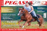 Pegasus-fs Heft 06/2011