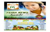 GUIA COMERCIAL FEIRA NEWS