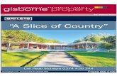 Gisborne Property 28-06-12