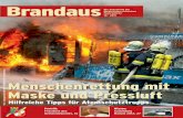 10/2011 Brandaus - die Zeitschrift der niederösterreichischen Feuerwehren