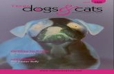 Texas Dogs & Cats Magazine- April 2010