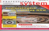 37-Professional System Germanypdf