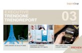 Executive Trend Report Preview