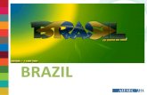 Brazilian GCDP Projects