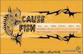 Cause Fish Presentation to Envision Leadership