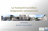 Diagnostic CCI Fontanil Cornillon