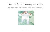 The Erle Montaigue Files, Internal Arts