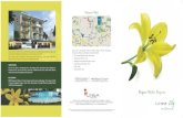 Lily brochure