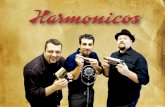 Os harmônicos release - 2013