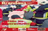 3/2011 Brandaus - die Zeitschrift der niederösterreichischen Feuerwehren