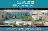 Peak Swirels & Cavallito Properties v4n1B