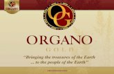 ORGANO GOLD™ INCOME OPPORTUNITY