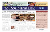 The Muslim Link - June 15, 2012