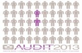 Audit 2013